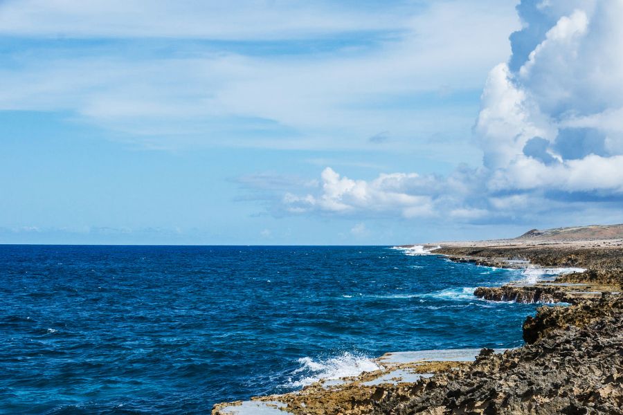 חופשה אוכל ונופים